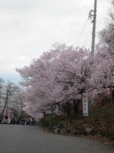 こうぼう山