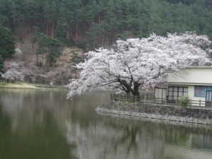 ちかとう池